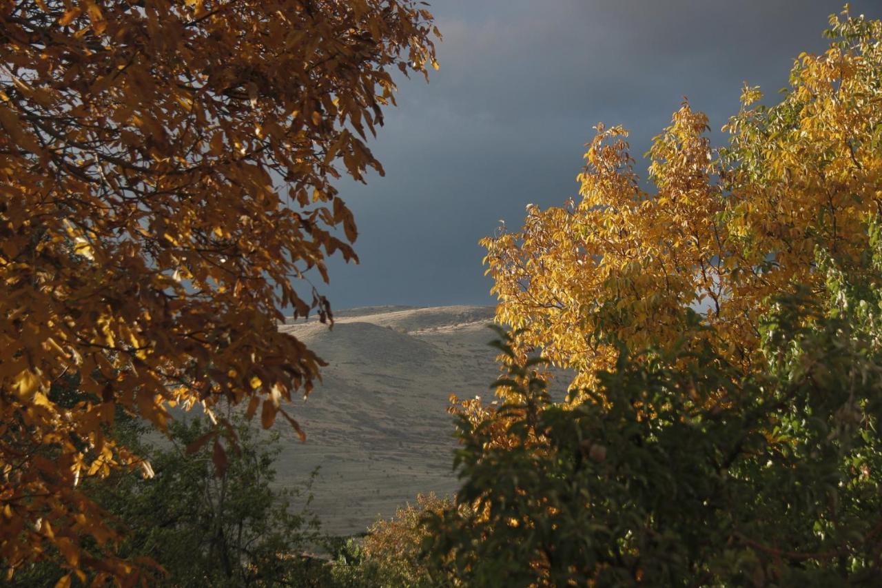 Zove Rural Cottage With Garden Views K'arashamb Exteriér fotografie