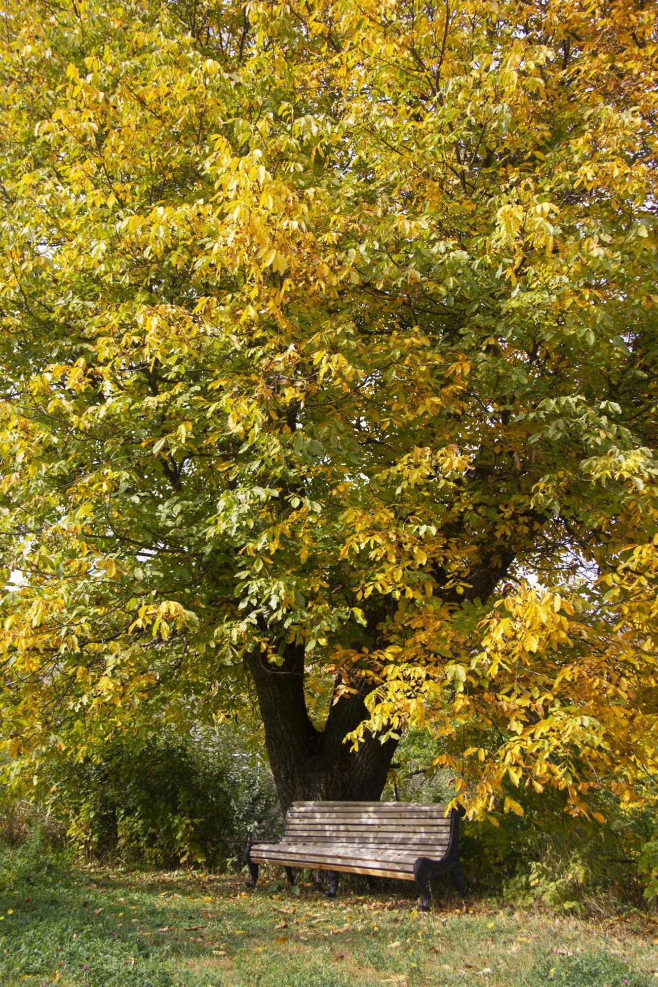 Zove Rural Cottage With Garden Views K'arashamb Exteriér fotografie
